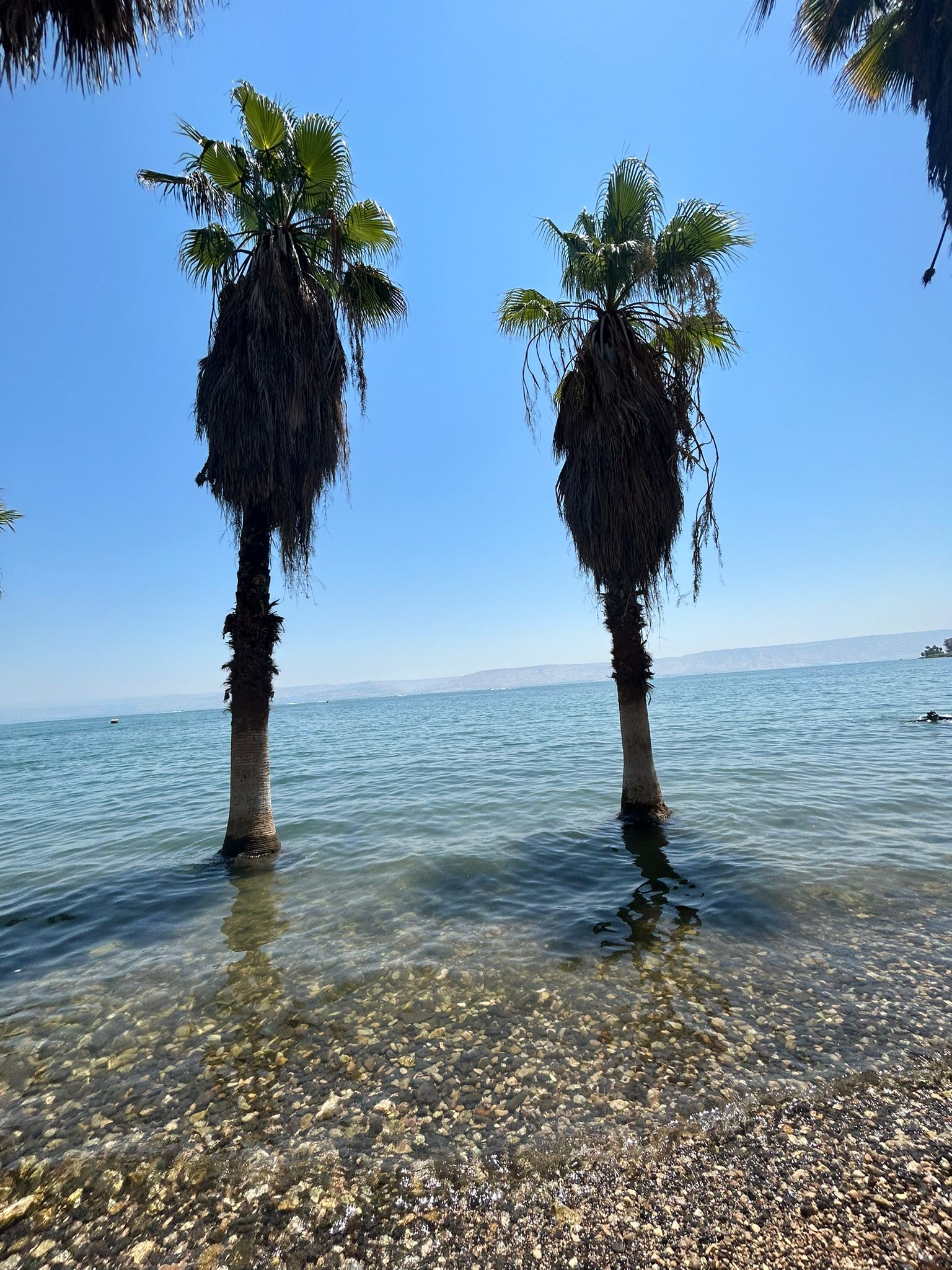 Mar da Galileia